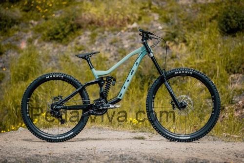 Vitus Dominer DH Bike avaliação e ficha técnica